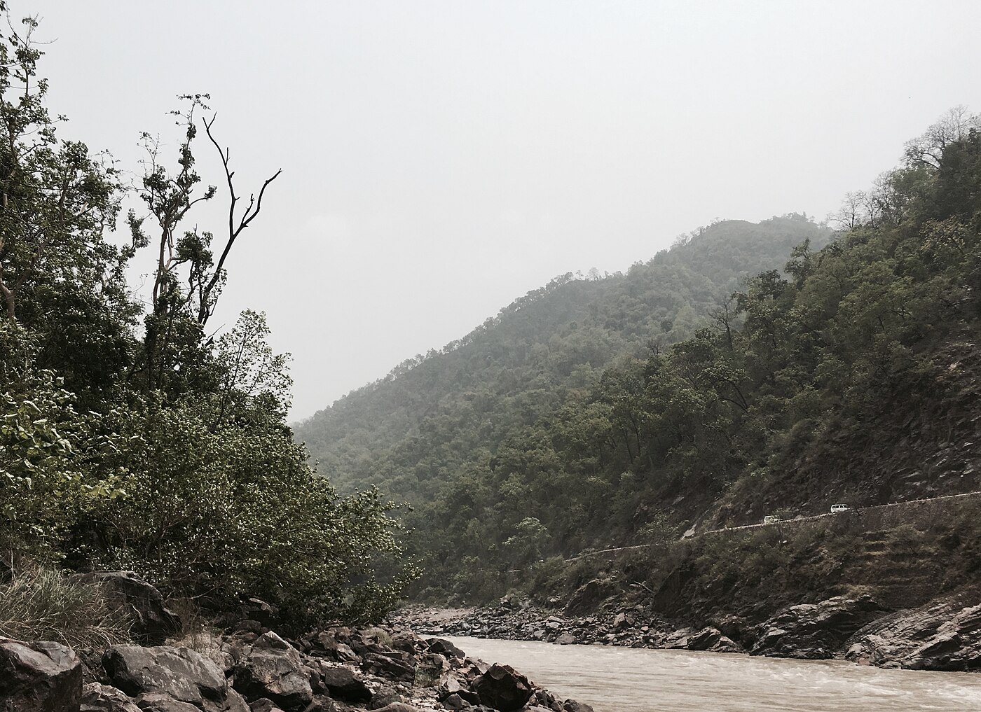 Shivpuri Rapids Co. — The Rapids, photo 3 of 7